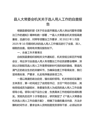 县人大选人用人工作自查总结报告