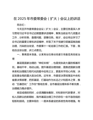在2025年市委常委会（扩大）会议上的讲话