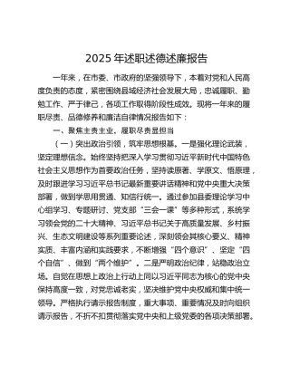 2025年述职述德述廉报告