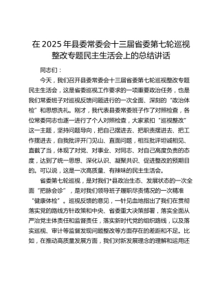 在2025年县委常委会十三届省委第七轮巡视整改专题民主生活会上的总结讲话
