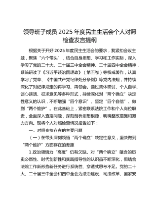 领导班子成员2025年度民主生活会个人对照检查发言提纲