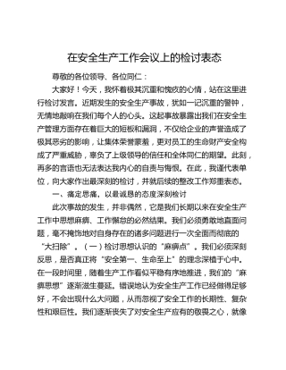 在安全生产工作会议上的检讨表态