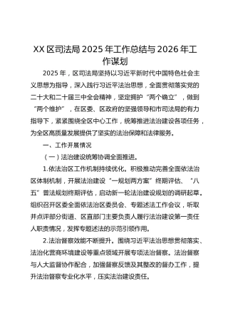 XX区司法局2025年工作总结与2026年工作谋划