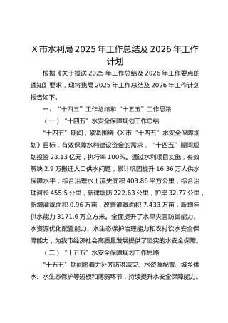 X市水利局2025年工作总结及2026年工作计划