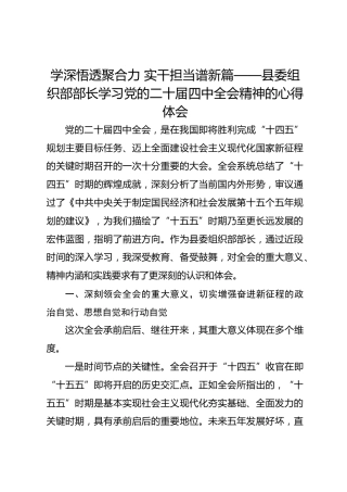 学深悟透聚合力实干担当谱新篇——县委组织部部长学习党的二十届四中全会精神的心得体会