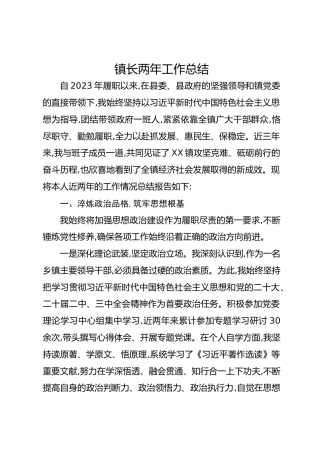 镇长两年工作总结