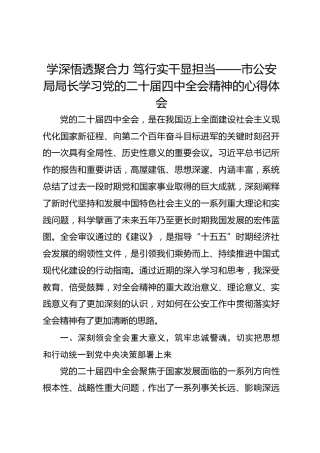 学深悟透聚合力笃行实干显担当——市公安局局长学习党的二十届四中全会精神的心得体会