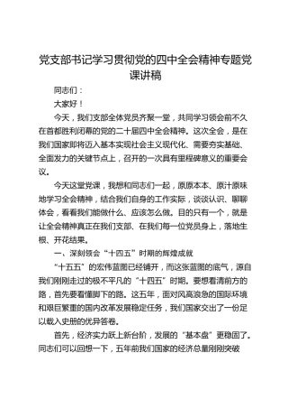 党支部书记学习贯彻党的四中全会精神专题党课讲稿