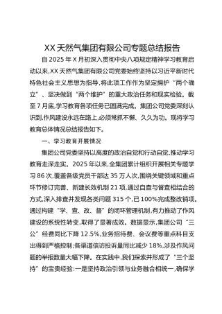 XX天然气集团有限公司专题总结报告