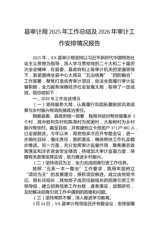 县审计局2025年工作总结及2026年审计工作安排情况报告