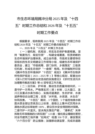 市生态环境局腾冲分局2025年及“十四五”时期工作总结和2026年及“十五五”时期工作要点