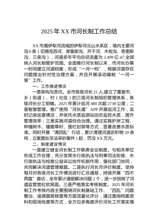 2025年XX市河长制工作总结