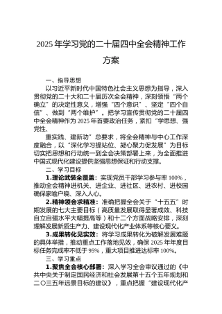 2025年学习党的二十届四中全会精神工作方案