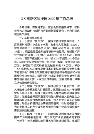 XX高新区科技局2025年工作总结