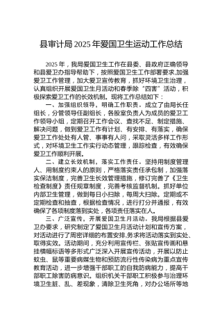 县审计局2025年爱国卫生运动工作总结