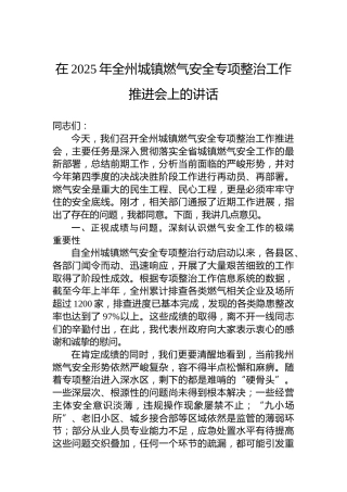 在2025年全州城镇燃气安全专项整治工作推进会上的讲话