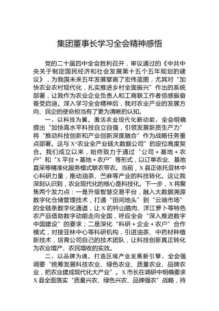 集团董事长学习党的二十届四中全会精神感悟