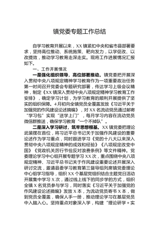 镇党委专题工作总结