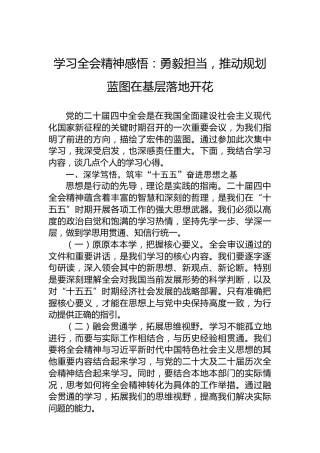 学习党的二十届四中全会精神感悟：勇毅担当，推动规划蓝图在基层落地开花