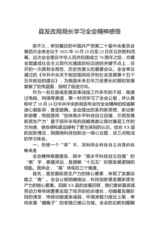 县发改局局长学习党的二十届四中全会精神感悟