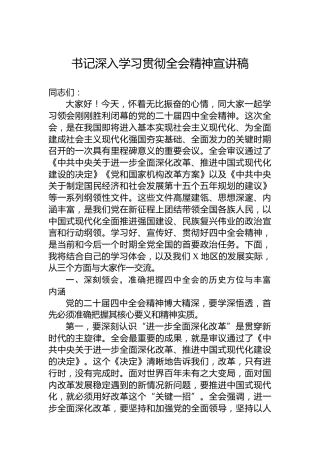 书记深入学习贯彻党的二十届四中全会精神宣讲稿
