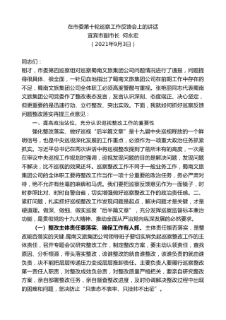 最新讲话系列第2136期宜宾市副市长何永宏：在市委第十轮巡察工作反馈会上的讲话