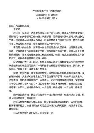最新讲话系列第98期成武县副县长曹红波在全县禁毒工作上的电视讲话