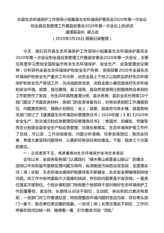 最新讲话系列第6期通渭县县长谢占武在县生态环境保护和应急管理工作会议上的讲话