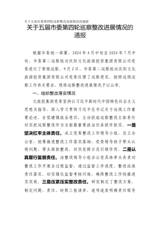 文化旅游投资公司巡察整改进展情况的通报