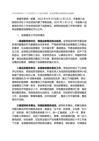 市红十字会党组关于五届市委第一轮巡察整改进展情况的通报