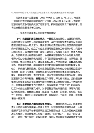 市应急管理局委员会关于五届市委第三轮巡察整改进展情况的通报