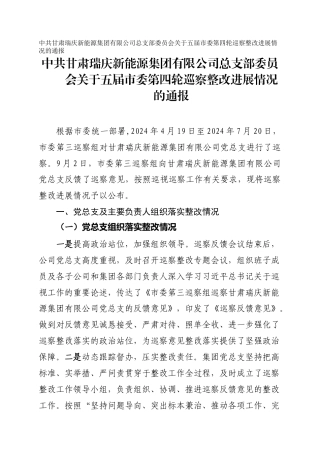 甘肃瑞庆新能源集团有限公司总支部委员会关于五届市委第四轮巡察整改进展情况的通报