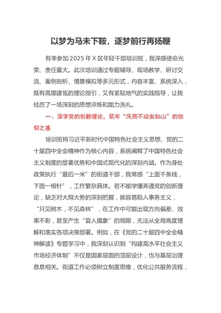 X区2025年年轻干部培训班学习心得体会汇编6篇