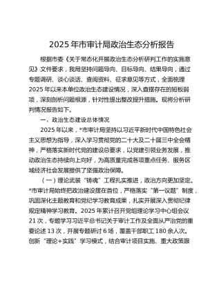 2025年市审计局政治生态分析报告（2）