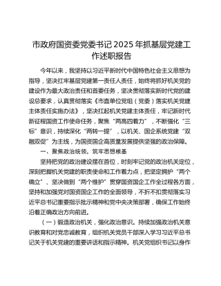 市政府国资委党委书记2025年抓基层党建工作述职报告