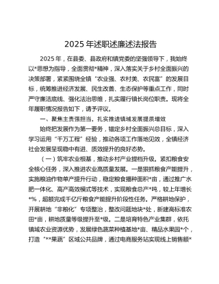 2025年述职述廉述法报告