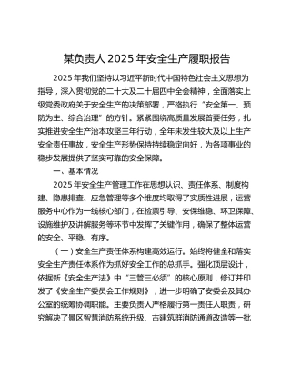 某负责人2025年安全生产履职报告