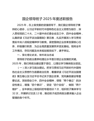 国企领导班子2025年度述职报告