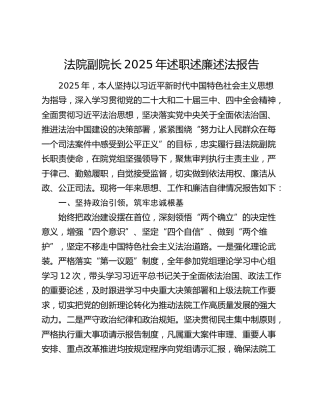 法院副院长2025年述职述廉述法报告