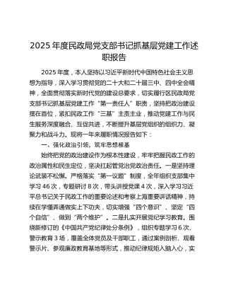 2025年度民政局党支部书记抓基层党建工作述职报告