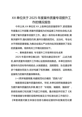 XX单位关于2025年度案件质量专项提升工作的情况报告