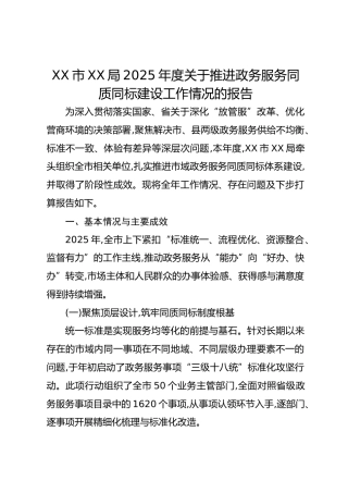 XX市XX局2025年度关于推进政务服务同质同标建设工作情况的报告