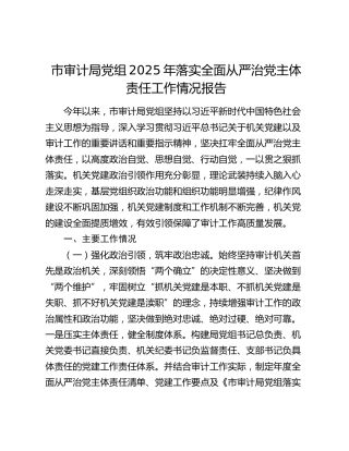市审计局党组2025年落实全面从严治党主体责任工作情况报告