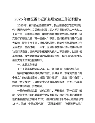 2025年度区委书记抓基层党建工作述职报告