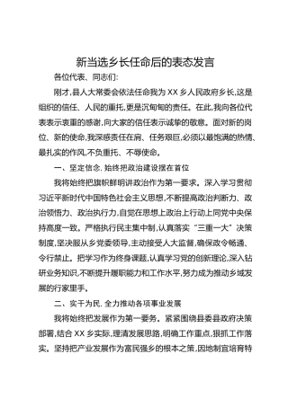 新当选乡长任命后的表态发言