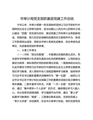 市审计局党支部抓基层党建工作总结