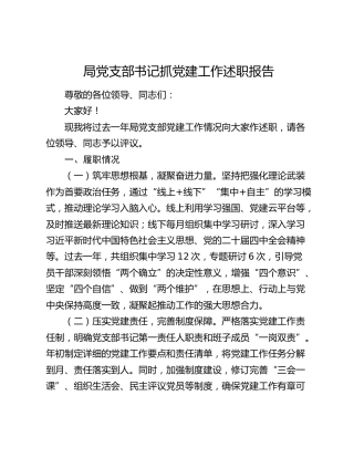 局党支部书记抓党建工作述职报告