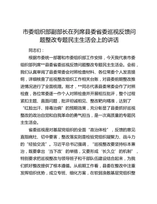市委组织部副部长在列席县委省委巡视反馈问题整改专题民主生活会上的讲话