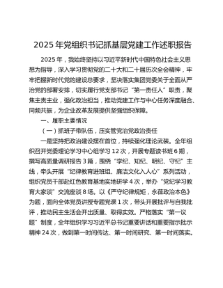 2025年党组织书记抓基层党建工作述职报告（2）
