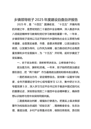 乡镇领导班子2025年度建设自查自评报告